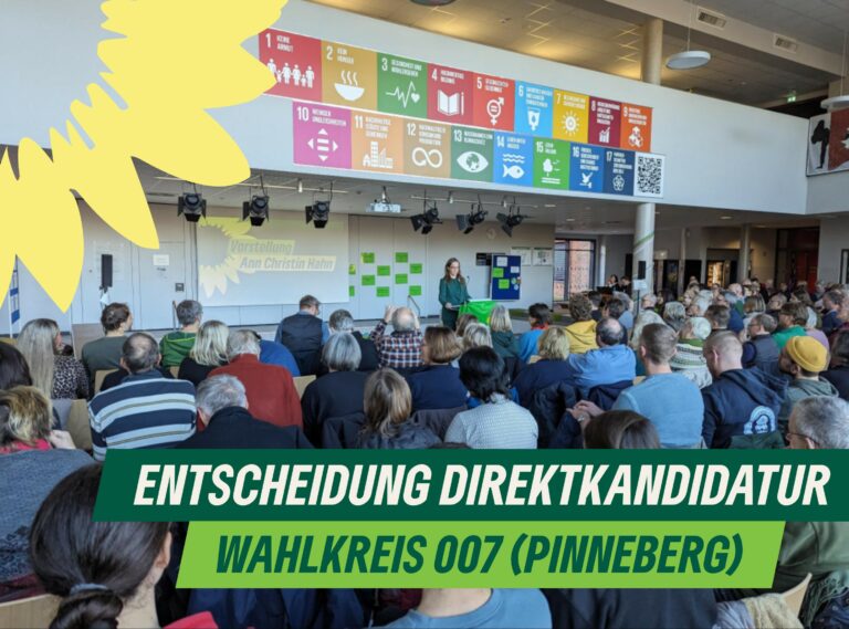 Wahl zur Direktkandidatin für den Wahlkreis 007 (Pinneberg)